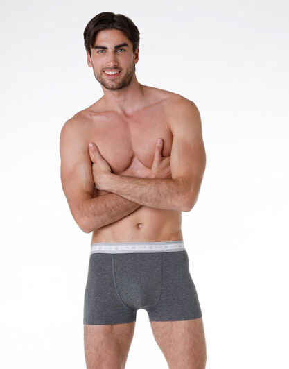 Boxer bipack uomo in cotone biologico, grigio mélange, , LOVABLE