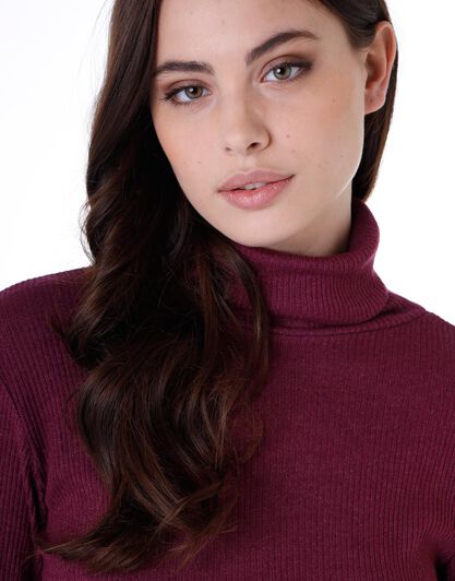 Maglia manica lunga collo alto Basic Soul in rib viscosa, bordeaux, , LOVABLE