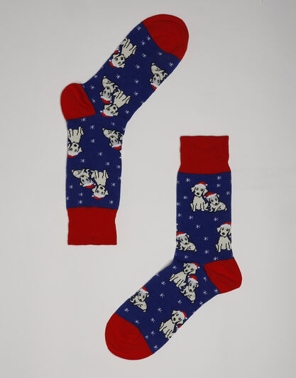 Calzini corti Crazy Socks in cotone, blu con stampa natalizia, , LOVABLE