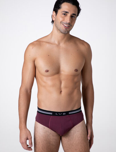 Slip Comfort 360 Stretch Cotton, bordeaux, , LOVABLE