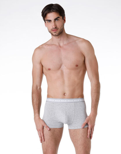 Boxer bipack uomo in cotone biologico, grigio mélange, , LOVABLE