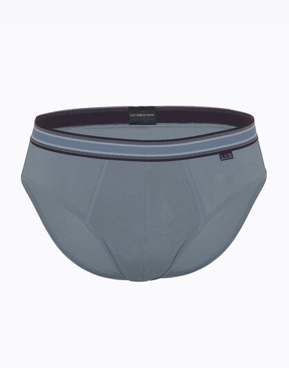Slip grigio chiaro, in cotone elasticizzato, con elastico jacquard in vita, , LOVABLE