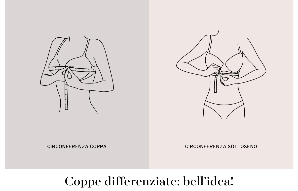 coppe reggiseno